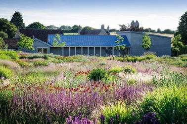 Khu vườn hàng nghìn cây hoa của cặp đại gia bỏ biệt thự về quê làm nông dân