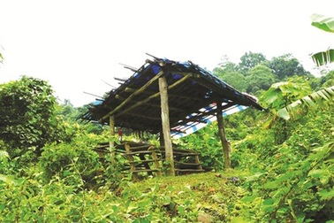 Chuyện chưa kể về cái chết của người tìm “kho báu” Vua Hàm Nghi xuyên hai thế kỷ 