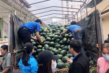 Bị đe dọa, đòi tiền bảo kê khi mua dưa hấu “giải cứu” giúp nông dân