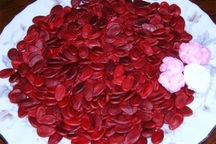 Hạt dưa nhuộm Rhodamine B cực độc hại