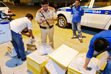 Bạc Liêu: Phát hiện xe khách chở tôm có chứa tạp chất