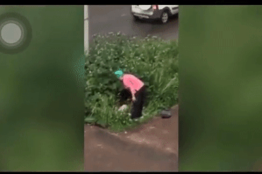 Vô tư "làm chuyện ấy" trong bụi rậm, cặp đôi bị đánh một trận tơi bời