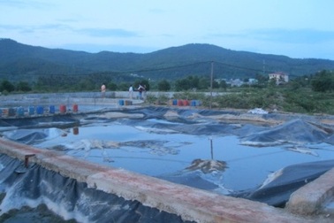 Phát hiện doanh nghiệp xả lén nước thải ra môi trường