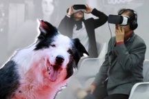 4 yếu tố gây sốt tại Liên hoan phim Cannes 2024