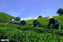 Đỡ đầu xã khó khăn giảm nghèo bền vững