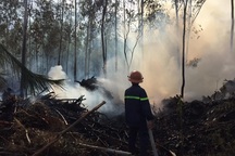 Khống chế đám cháy rừng không để lan sang khu mộ bà Hoàng Thị Loan