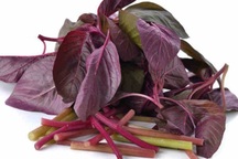 Những lợi ích sức khỏe của rau dền