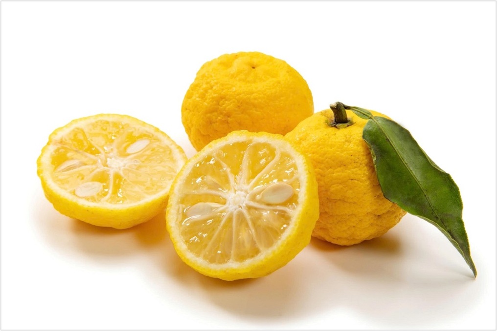 Khám phá hương vị chanh Nhật Yuzu trong trà mật ong BONCHA - 1