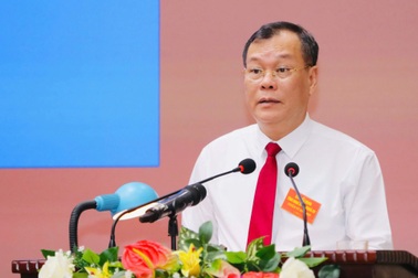 Tỉnh Ninh Bình mới cần làm ngay công tác quy hoạch, đầu tư dự án trọng điểm