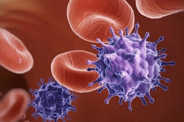 Vi rút HIV ngày càng lành tính!