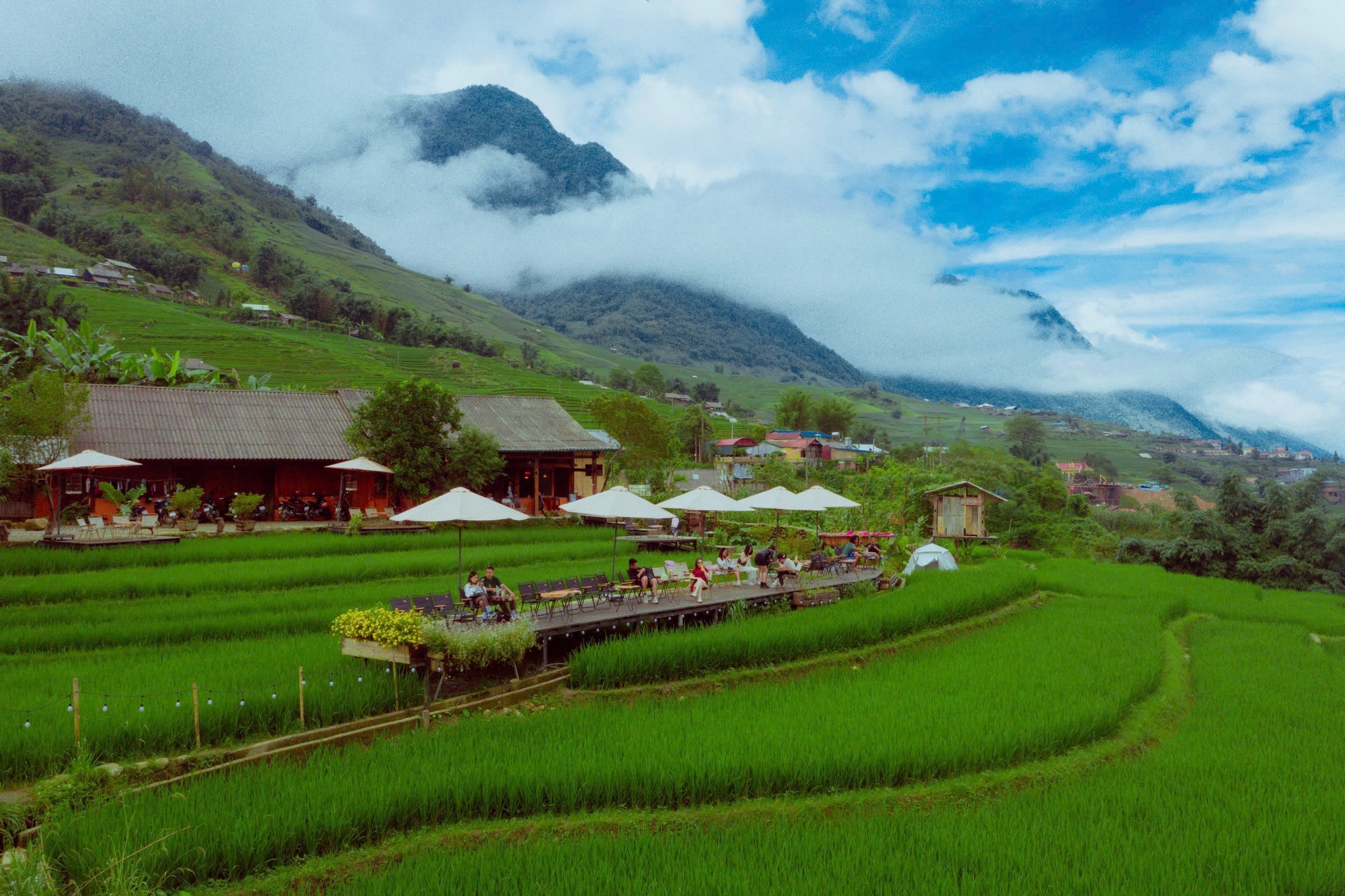 View - Khách Hà Nội rủ nhau ngồi giữa ruộng bậc thang ở Sapa nhâm nhi cà phê | Báo Dân trí