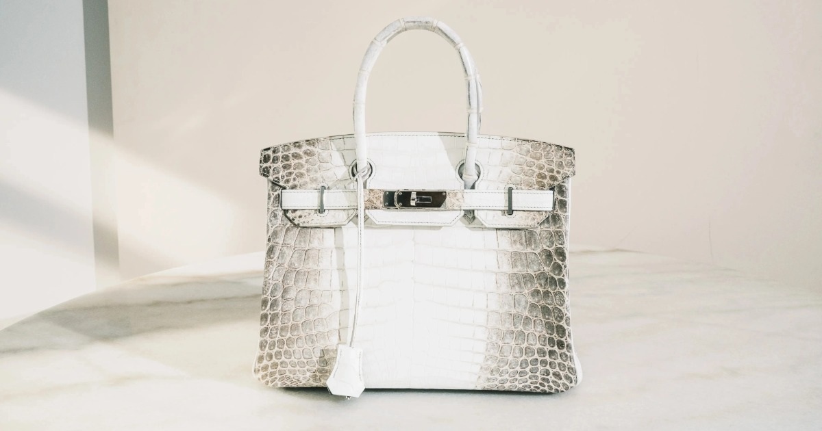 Túi Birkin Himalaya trong bộ sưu tập Thu - Đông 2010 của Hermès (Ảnh: Hermès).