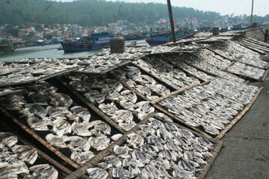 Lưu huỳnh trong cá, mực khô cao gấp hơn 10 lần cho phép