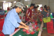 Giá thanh long "loạn cào cào", tăng đột biến lên 45.000 đồng/kg