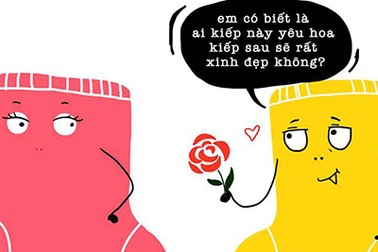 Cơn sốt mạng mang tên “Bít Tất biết tất”