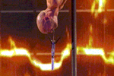 Kinh hãi trước màn nuốt kiếm của quán quân "Tìm kiếm Tài năng Nga"