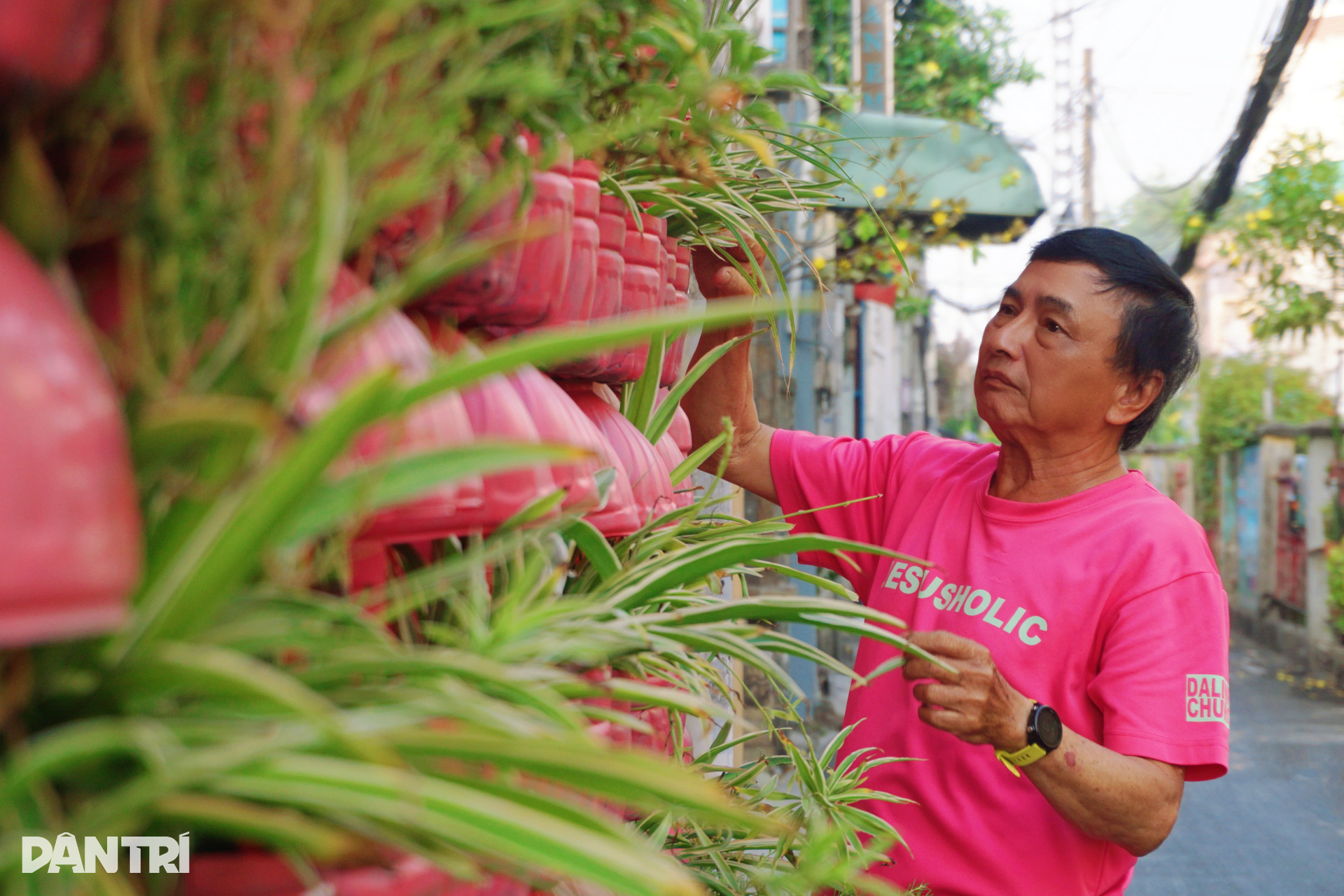Người đàn ông ở TPHCM nhuộm hồng tổ ấm bằng hàng trăm chai nhựa - 6 Người đàn ông ở TPHCM nhuộm hồng tổ ấm bằng hàng trăm chai nhựa - 6