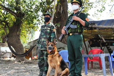 Công an điều tra "đường đi" nhập cảnh trái phép của bệnh nhân 2424