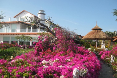 Khu vườn hoa bãi biển Long Hải hút khách du lịch