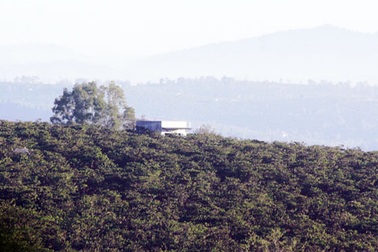 Chủ rẫy cà phê bị người làm công mới nhận 1 ngày sát hại