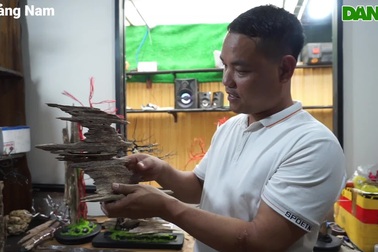 Kỹ sư xây dựng làm bonsai "bất tử" bán cho đại gia