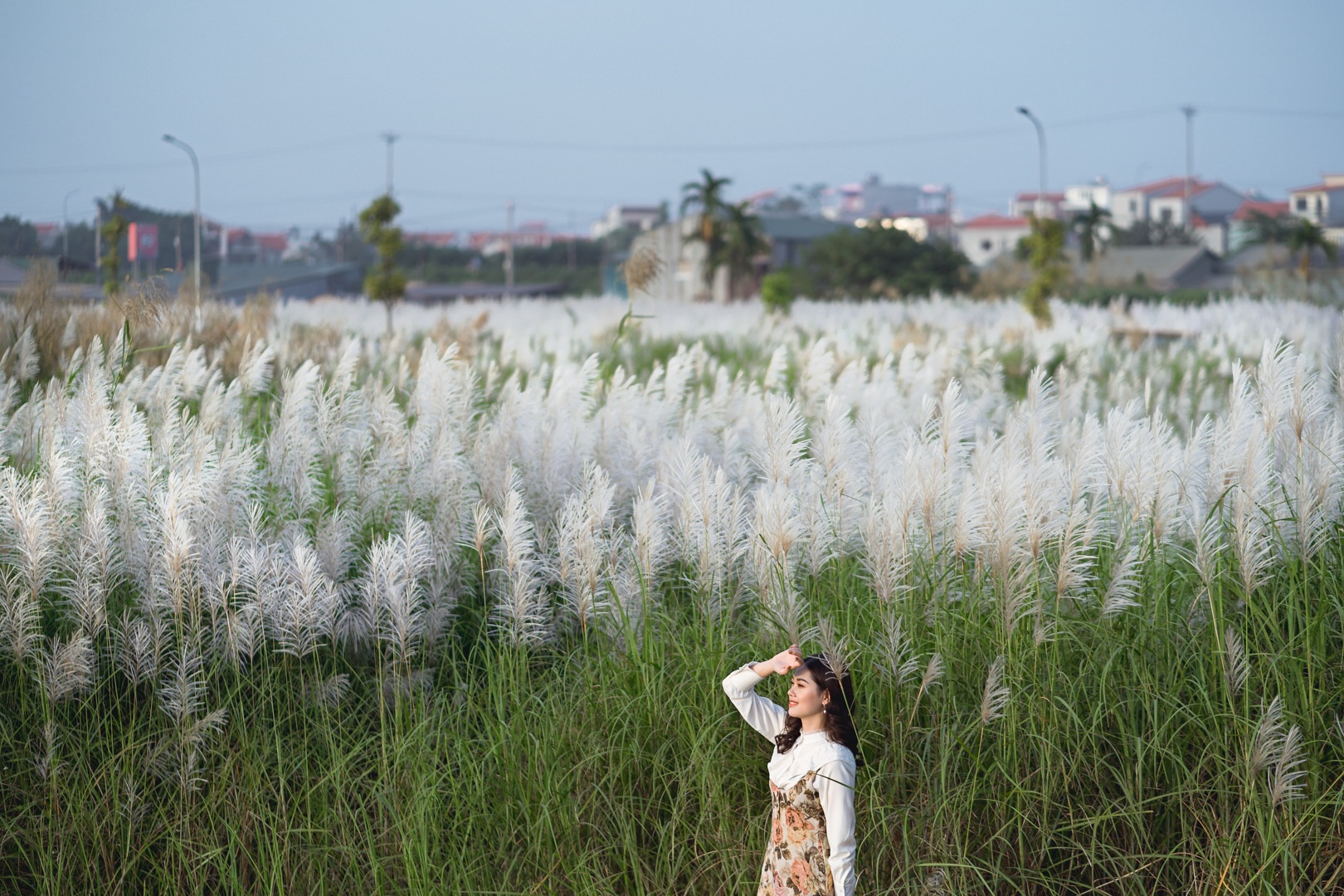 Bãi cỏ lau trắng tuyệt đẹp hút giới trẻ Hà thành tới "sống ảo"