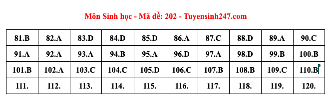 Προτεινόμενο κλειδί απαντήσεων για τις εξετάσεις αποφοίτησης μαθήματος βιολογίας με κωδικό 202 2024 - 2 Đáp án gợi ý mã đề 202 môn sinh học thi tốt nghiệp năm 2024 - 2
