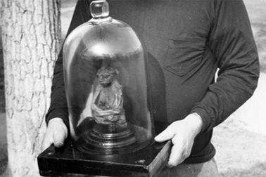 Bí ẩn về xác ướp tí hon trong dãy núi San Pedro ở Mỹ