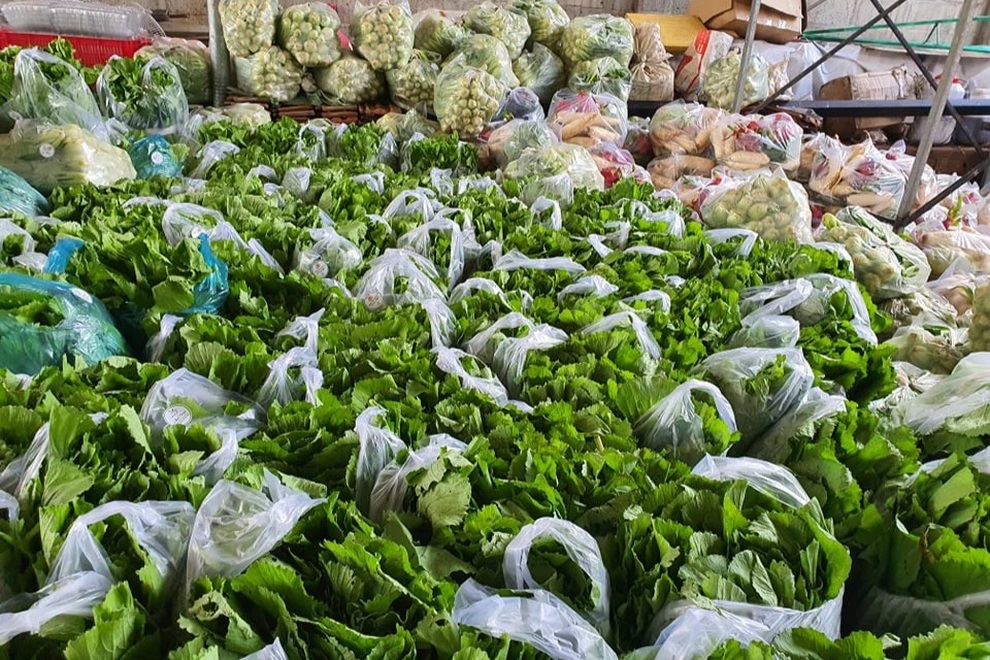 Người Đắk Lắk thương tặng TPHCM hàng chục tấn rau củ nghĩa tình - 5 Người Đắk Lắk thương tặng TPHCM hàng chục tấn rau củ nghĩa tình - 5