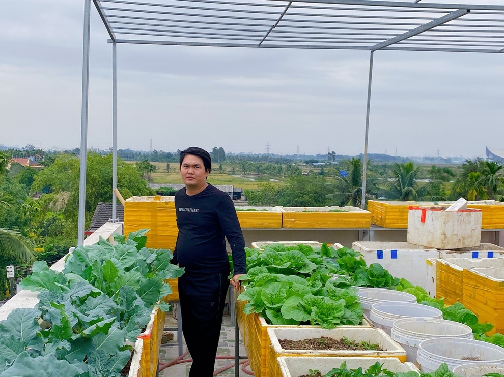 Ngắm vườn rau sân thượng xanh mướt của cặp vợ chồng ở Hải Phòng - 1 Ngắm vườn rau sân thượng xanh mướt của cặp vợ chồng ở Hải Phòng - 1