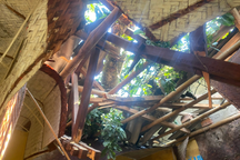 Lốc xoáy "thổi bay" mái nhà dân, trường học ở Thanh Hóa