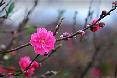 Dịp Tết dương lịch 2018, người lao động nghỉ mấy ngày?