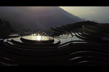 Sửng sốt hàng nghìn viên pha lê lấp lánh trên ruộng bậc thang Mù Cang Chải