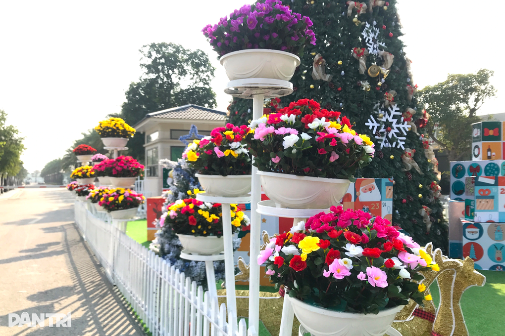 Giới trẻ phát sốt vì cây thông độc đáo ở khu đô thị đẹp nhất Nghệ An - 4 Cây_thông_Noel - 4