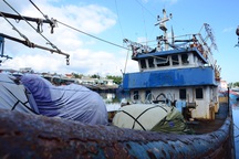 Quảng Ngãi: "Đắp chiếu" tàu vỏ thép trị giá hàng chục tỷ đồng