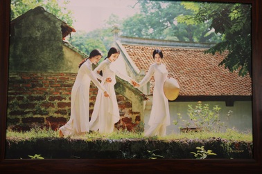 Ngắm vẻ đẹp dịu dàng của người con gái Việt trong áo dài