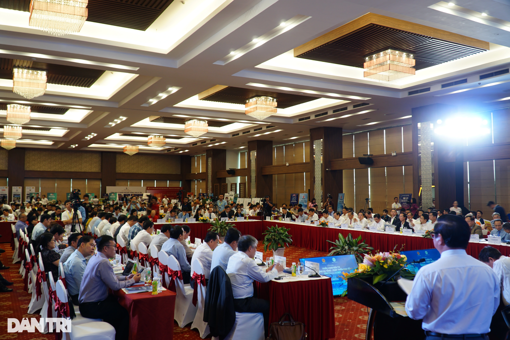 Đồng bằng sông Cửu Long: Vùng chiến lược, vựa lúa sao còn nghèo khó? - 3 Đồng bằng sông Cửu Long: Vùng chiến lược, vựa lúa sao còn nghèo khó? - 3