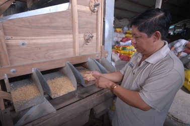 Một nông dân xuất khẩu... 1.000 tấn lúa giống/năm