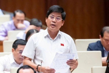 "Đấu giá thắng cho bằng được để lũng đoạn, độc quyền, đẩy giá"