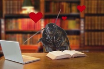 Có một không hai: Tặng gián cho người yêu trong ngày Valentine