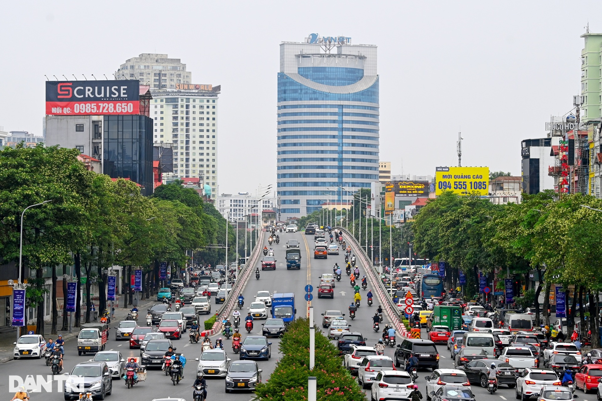 Người dân ám ảnh trước mùi hoa sữa đặc trưng của Hà Nội - 4 Người dân ám ảnh trước mùi hoa sữa đặc trưng của Hà Nội - 4