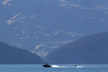 Công việc 50.000 USD/năm gần như không ai ngó ngàng ở New Zealand