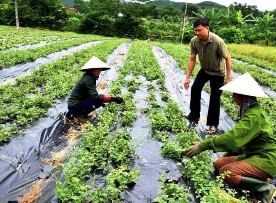 Người đi lên từ… thất bại - 4 Người đi lên từ… thất bại - 4