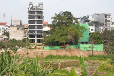 Vụ lấn hồ Quảng Bá làm đường vào nhà: "Thủ phạm" là nhà thầu xây dựng