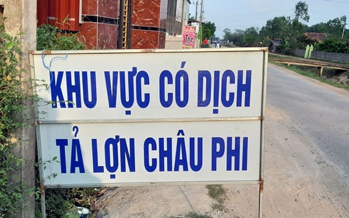 Quảng Bình: Xuất hiện ổ dịch tả lợn châu Phi 