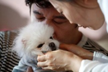 Tranh cãi quan điểm: Chọn nuôi thú cưng thay vì sinh con là ích kỷ?