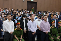 Các nhà đầu tư vụ Tân Hoàng Minh không được nhận tiền lãi