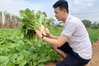 Mạnh dạn trồng 2000m2 rau hữu cơ, chàng trai 27 tuổi hút khách mua tận vườn