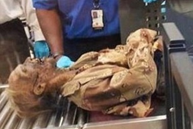 Nhân viên sân bay giật mình “đụng độ” xác khô