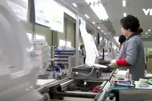 Dịch vụ cho thuê đồ "hốt bạc" tại Hàn Quốc